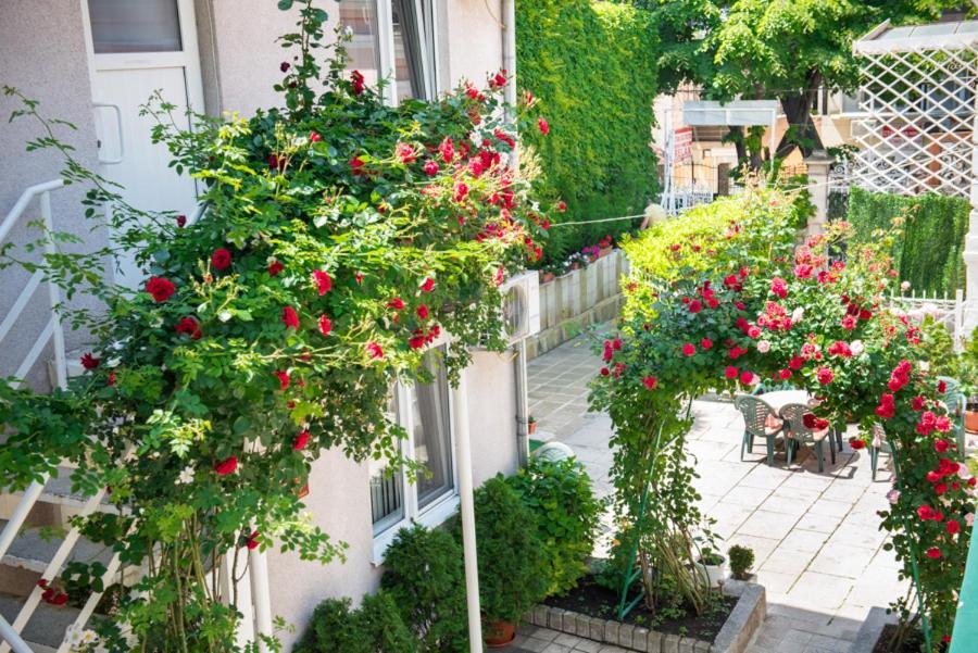 Hotel Relax Varna Exterior photo